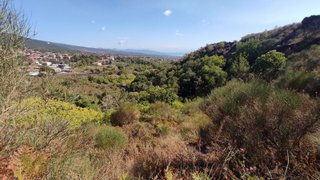 Monte Rosso